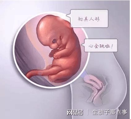 关于代生包男宝